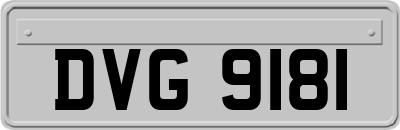 DVG9181