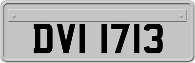 DVI1713