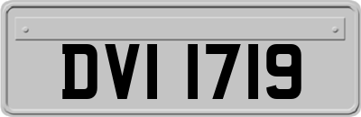 DVI1719
