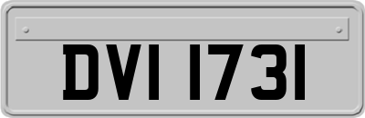 DVI1731
