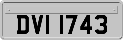DVI1743