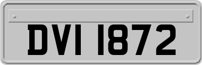 DVI1872