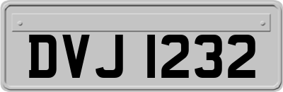 DVJ1232