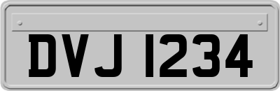 DVJ1234