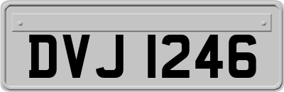 DVJ1246