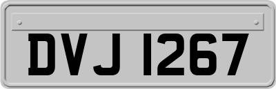 DVJ1267