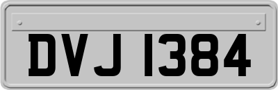 DVJ1384