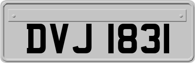 DVJ1831