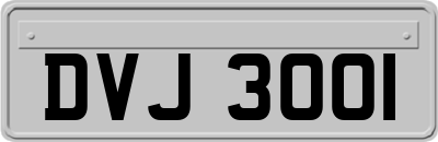 DVJ3001