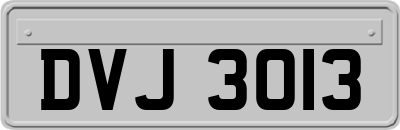 DVJ3013