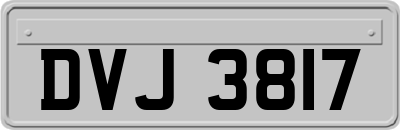 DVJ3817