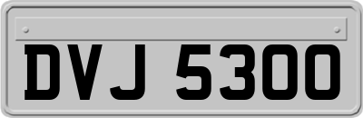 DVJ5300