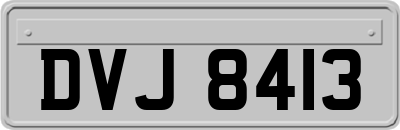 DVJ8413