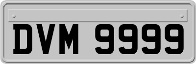 DVM9999