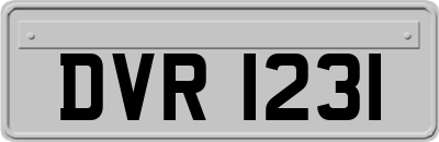 DVR1231