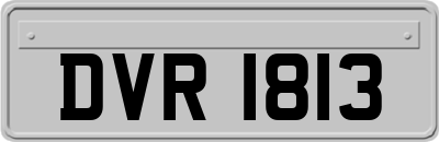 DVR1813