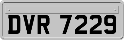 DVR7229