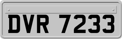 DVR7233