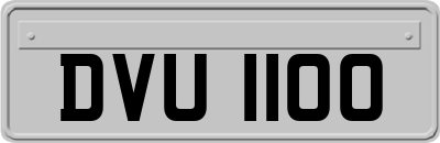 DVU1100
