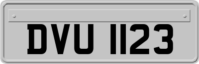 DVU1123