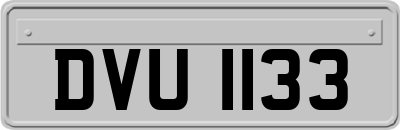 DVU1133