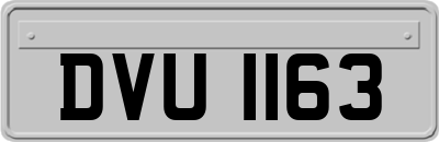 DVU1163
