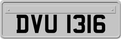DVU1316