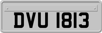 DVU1813