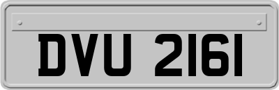 DVU2161
