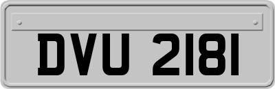 DVU2181