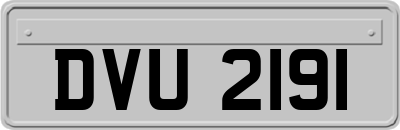 DVU2191