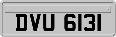 DVU6131