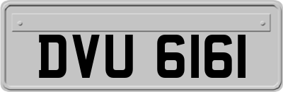 DVU6161