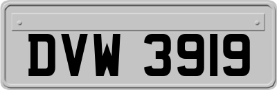 DVW3919