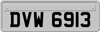 DVW6913