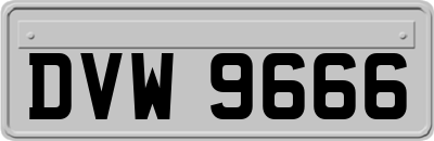 DVW9666