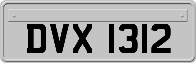 DVX1312