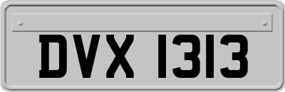 DVX1313
