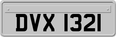DVX1321
