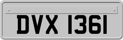 DVX1361