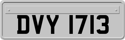 DVY1713