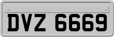 DVZ6669