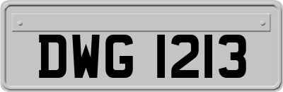 DWG1213