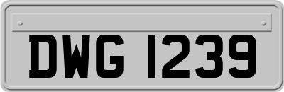 DWG1239