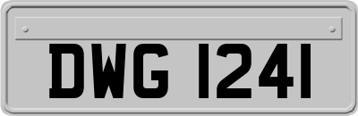 DWG1241