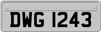 DWG1243