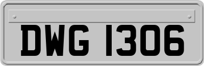 DWG1306
