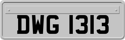 DWG1313