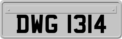 DWG1314
