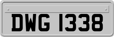 DWG1338